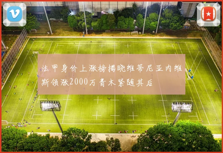 法甲身价上涨榜揭晓维蒂尼亚内维斯领涨2000万青木紧随其后