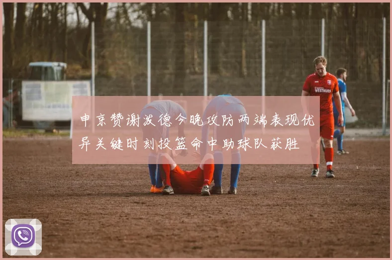 申京赞谢泼德今晚攻防两端表现优异关键时刻投篮命中助球队获胜